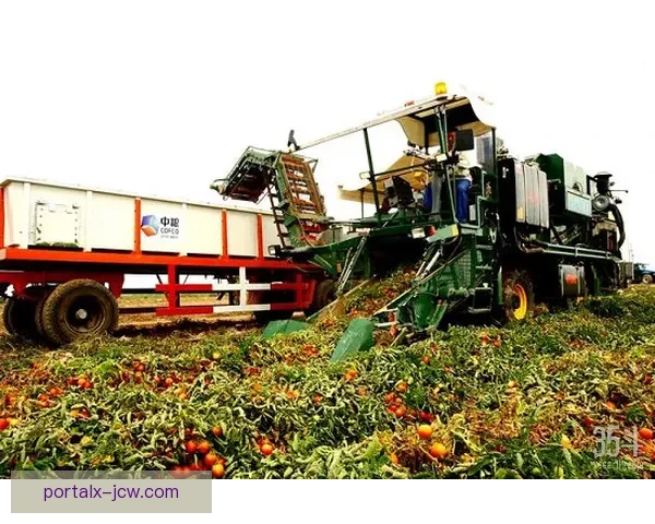 羊绒工业发展现状与未来前景分析以5-1塞尔温联模式为核心探讨 羊绒工业发展现状与未来前景分析以5-1塞尔温联模式为核心探讨